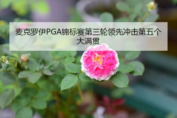 麦克罗伊PGA锦标赛第三轮领先冲击第五个大满贯