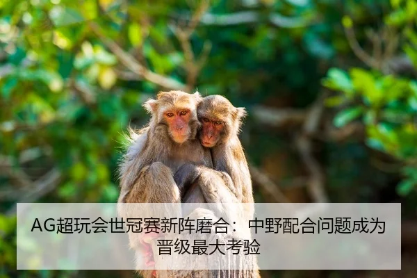 AG超玩会世冠赛新阵磨合：中野配合问题成为晋级最大考验